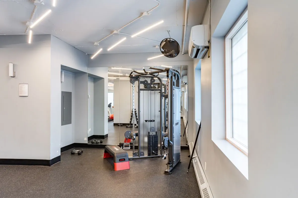 Free weights and cable machines